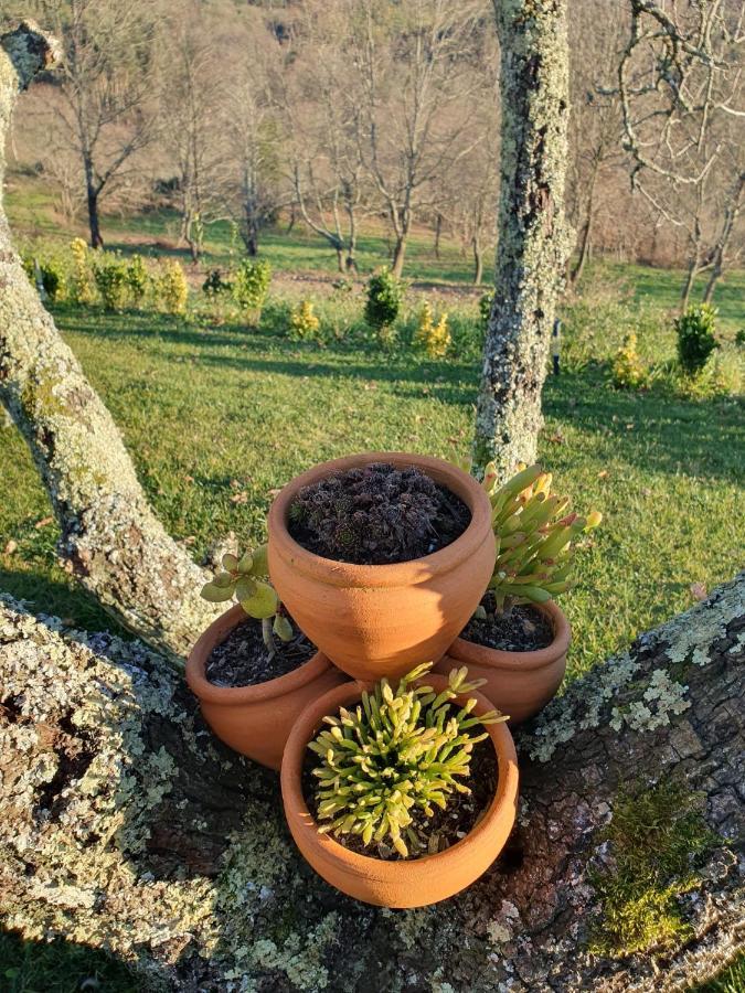 Willa Quinta De Cerdeiro Moes Zewnętrze zdjęcie